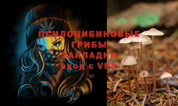кокаин премиум Абаза