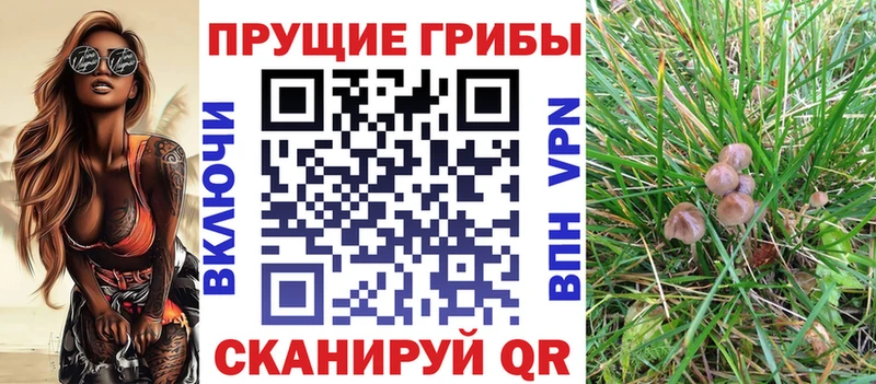 Псилоцибиновые грибы Magic Shrooms  Рассказово 