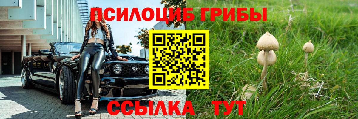 Рассказово  Галлюциногенные грибы мицелий  Вход с VPN  Псилоцибиновые грибы прущие грибы 